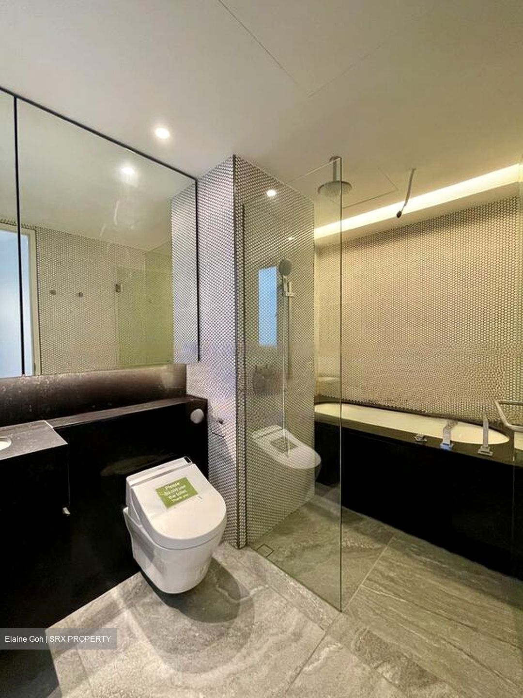 10 Evelyn (D11), Apartment #479946071